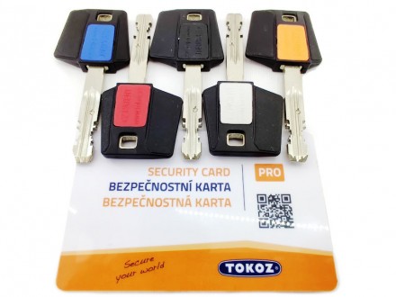 Tokoz Pro 300 ключ/тумблер никель матовый 
Механизм дискового цилиндра TOKOZ PRO. . фото 11