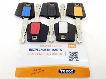 Tokoz Pro 400 ключ/ключ никель матовый 
Механизм дискового цилиндра TOKOZ PRO 40. . фото 11