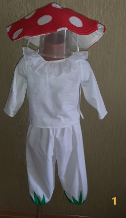 продам костюм мухомора на хлопчика 4 роки. Харьков. фото 1 продам костюм мухомора на хлопчика 4 роки. Харьков. фото 1