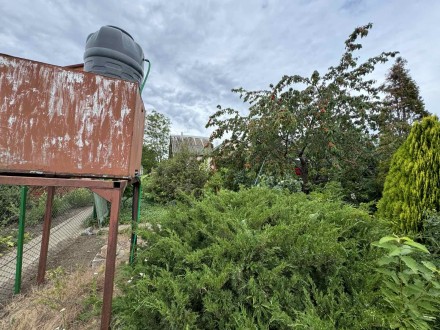 Продаю дачу в Слівіно. Гарний жилий кооператив, поруч зупинка. Широка дорога пор. . фото 6