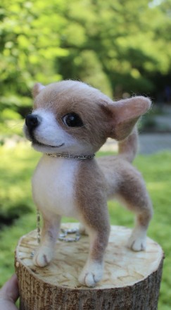 Чихуахуа реалістична собачка валяна іграшка . Маленьке пухнасте шерстяне диво у . . фото 7