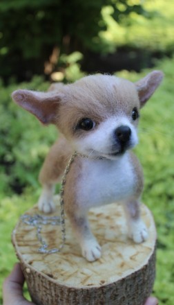 Чихуахуа реалістична собачка валяна іграшка . Маленьке пухнасте шерстяне диво у . . фото 6