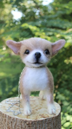 Чихуахуа реалістична собачка валяна іграшка . Маленьке пухнасте шерстяне диво у . . фото 8