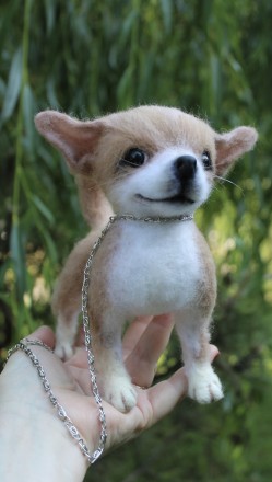 Чихуахуа реалістична собачка валяна іграшка . Маленьке пухнасте шерстяне диво у . . фото 5
