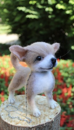 Чихуахуа реалістична собачка валяна іграшка . Маленьке пухнасте шерстяне диво у . . фото 3