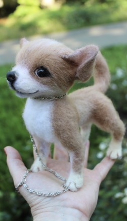 Чихуахуа реалістична собачка валяна іграшка . Маленьке пухнасте шерстяне диво у . . фото 4