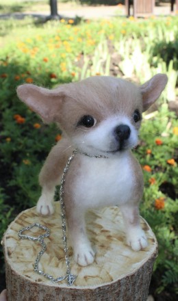 Чихуахуа реалістична собачка валяна іграшка . Маленьке пухнасте шерстяне диво у . . фото 9