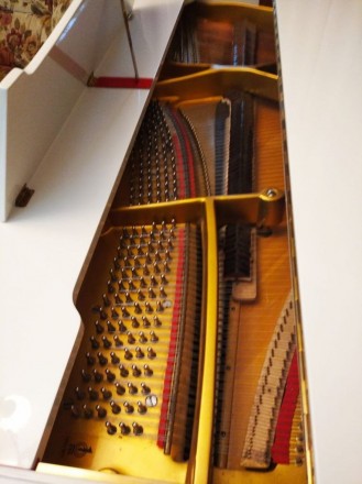 Продається салонний акустичний німецький рояль преміум класу АUGUST FÖRSTER. . фото 6