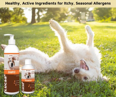 LUCAA+ Шампунь для домашніх тварин, 300 мл. Київ. фото 1