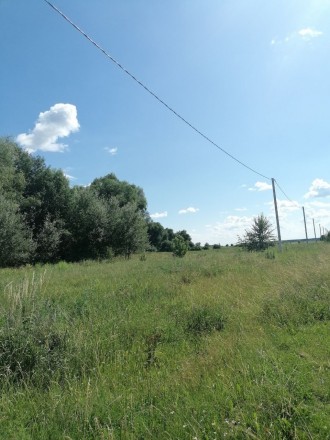 Продається земельна ділянка в селі Рогозів 8 сот, по вулиці є стовпи з електрико. . фото 4