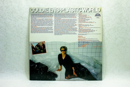 Продам винил Goldie Ens - Plastic World LP 12" Supraphon.
Продаю грампласт. . фото 3