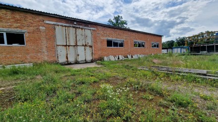 Комерційна пропозиція щодо продажу виробничої бази, знаходиться в 1 км від траси. Гаек. фото 12