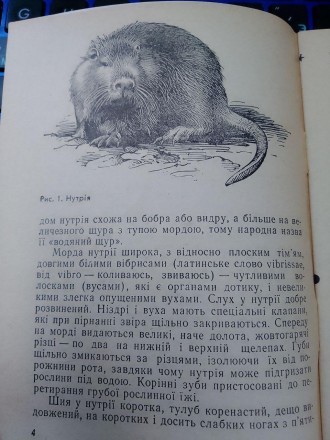 ЗАЙЦЕВ О. Г. Присадибне нутрієвництво / О.Г. Зайцев. - К.: Урожай, 1982. 
40 сто. . фото 4