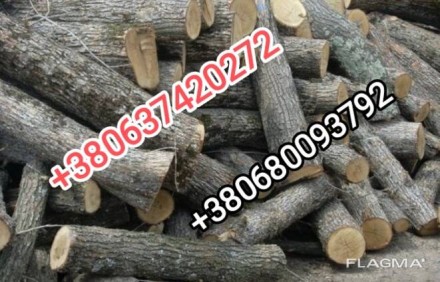 Продам дрова твердих порід. Обухов. фото 1 Продам дрова твердих порід. Обухов. фото 1