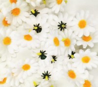 Цветы для рукоделия Ромашки 20 шт. Суми. фото 1 Цветы для рукоделия Ромашки 20 шт. Суми. фото 1