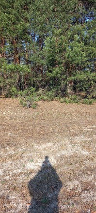 Продається ділянка 10 соток в Нижчій Дубечні, ділянка знаходиться в кінці села ,. . фото 3