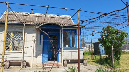 Летняя дача г. Черноморск 6,5 соток кооп " Ветеран". ул Дукова. Одеса. фото 1 Летняя дача г. Черноморск 6,5 соток кооп " Ветеран". ул Дукова. Одеса. фото 1