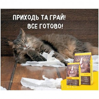 JOSERA Naturelle з сочевицею та фореллю пропонує смачний рецепт без зернових та . . фото 3