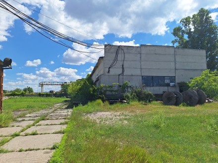 Продажа производственно-складской базы в районе Куяльника.. Одесса. фото 1 Продажа производственно-складской базы в районе Куяльника.. Одесса. фото 1