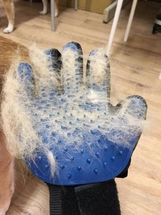 Перчатка для вычесывания шерсти True Touch, Тру Тач, Pet Glove. Харків. фото 1 Перчатка для вычесывания шерсти True Touch, Тру Тач, Pet Glove. Харків. фото 1