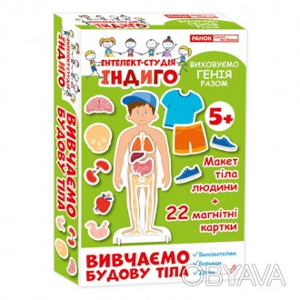 Интересный детский набор Індиго. Вивчаємо будову тіла (У) 13109081, выполненный . . фото 1