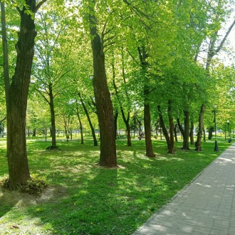 Вул. Олександра Попова, 9. Р-н Куренівка, Пріорка, Вишгородська, Мостицька, Авто. Куренёвка. фото 13