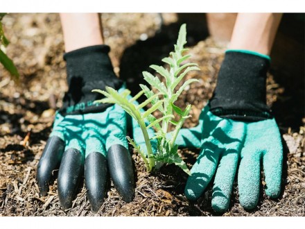 Garden Genie Gloves - это уникальные садовые перчатки, которые позволят вам рабо. . фото 6