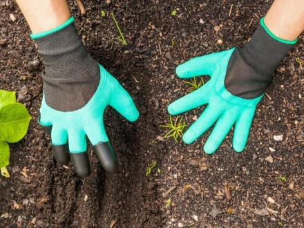 Garden Genie Gloves - это уникальные садовые перчатки, которые позволят вам рабо. . фото 3