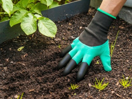 Garden Genie Gloves - это уникальные садовые перчатки, которые позволят вам рабо. . фото 5