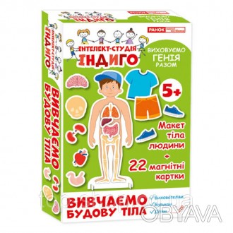 Цікавий дитячий набір Індіго. Вивчаємо будову тіла (У) 13109081, виконаний з еко. . фото 1