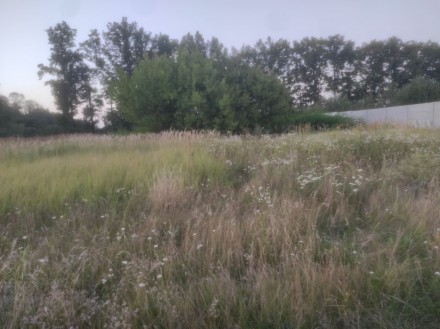 Продам участок земли в Рогани, Докучаева. Харків. фото 1 Продам участок земли в Рогани, Докучаева. Харків. фото 1