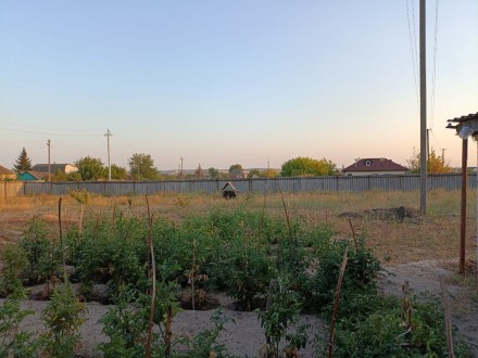 Продается дом для лучшей семьи село Чемужовка Змиевскйо район. Змиев. фото 1 Продается дом для лучшей семьи село Чемужовка Змиевскйо район. Змиев. фото 1
