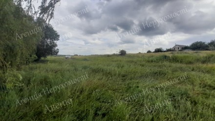  Продається ділянка в Бережинці. 
- Ділянка площею 0,12 Га 
- реальному покупцю . Катрановка. фото 5