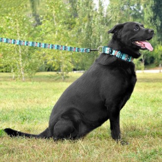 Нейлоновий повідець для собак ТМ BronzeDog легкий, міцний та надійний. Він викон. . фото 7