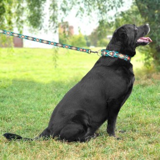 Нейлоновий повідець для собак ТМ BronzeDog легкий, міцний та надійний. Він викон. . фото 9