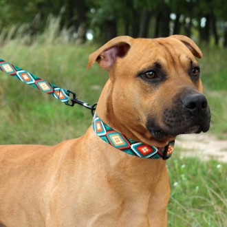 Нейлоновий нашийник для собак ТМ BronzeDog легкий, міцний та надійний. Він викон. . фото 10