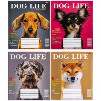 Зошит шкільний Мрії Збуваються 12арк в клітинку арт. 3546. Одесса. фото 1