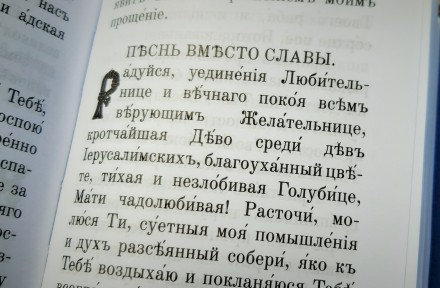 Середній формат, 17х12, офсетний папір, тверда обкладинка. . фото 3