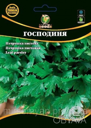 Петрушка "Господыня" (листовая). WoS
Скороспелый, урожайный сорт, от всходов к т. . фото 1