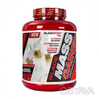 Blade Mass Gainer – это высокоэффективная добавка для набора массы, созданная дл. . фото 1