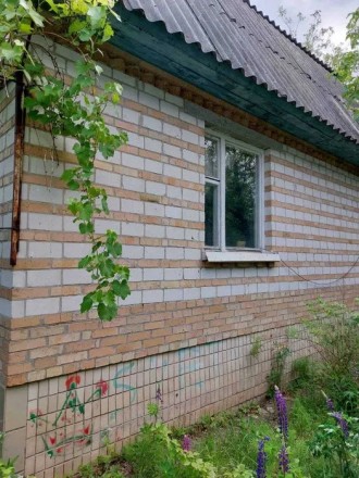 ПН 411459.Київська область, Макарівський район, село Новосілки, садове товариств. . фото 11