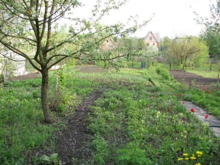 ПН 411459.Київська область, Макарівський район, село Новосілки, садове товариств. . фото 7