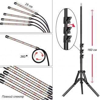  Фитолампа для растений на штативе используется для роста и улучшения качеств цв. . фото 5