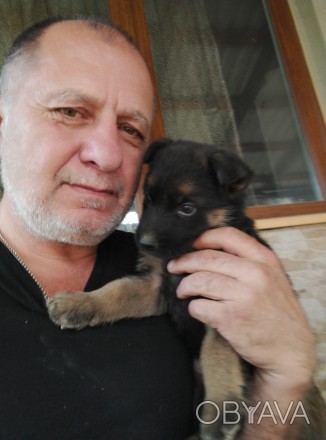 Познаемлюся з приемною струмкою жінкою