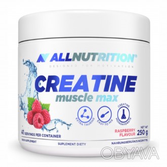 CREATINE MUSCLE MAX - це мікронізований моногідрат креатину найвищої якості, при. . фото 1