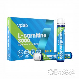 L-Carnitine 3000 містить 3 г L-Carnitine на флакон - надзвичайно ефективний прод. . фото 1