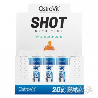  OstroVit Endurance Shot 100 мл - це передтренувальний засіб у вигляді шоту зі с. . фото 1