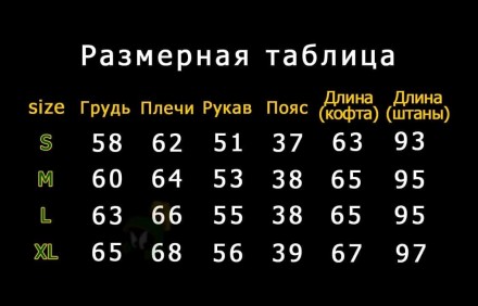 Костюм спортивный мужской зимний на флисе черный фиолетовый Believe
 
Какой долж. . фото 3