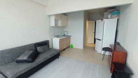 1-комнатная квартира, 21.00 кв.м. . фото 2 Продам 1-комнатную квартиру на Боровского/ " Микрон", 7/9, 21/14/5, студия, ремо. . фото 2