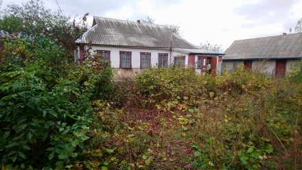 Продаж будинку в с. Лубʼянка, Рокитнянський р-он, Київська обл.. . фото 3 Продається будинок 1953 року побудови в мальовничому селі Лубʼянка, Рокитнянськи. . фото 3